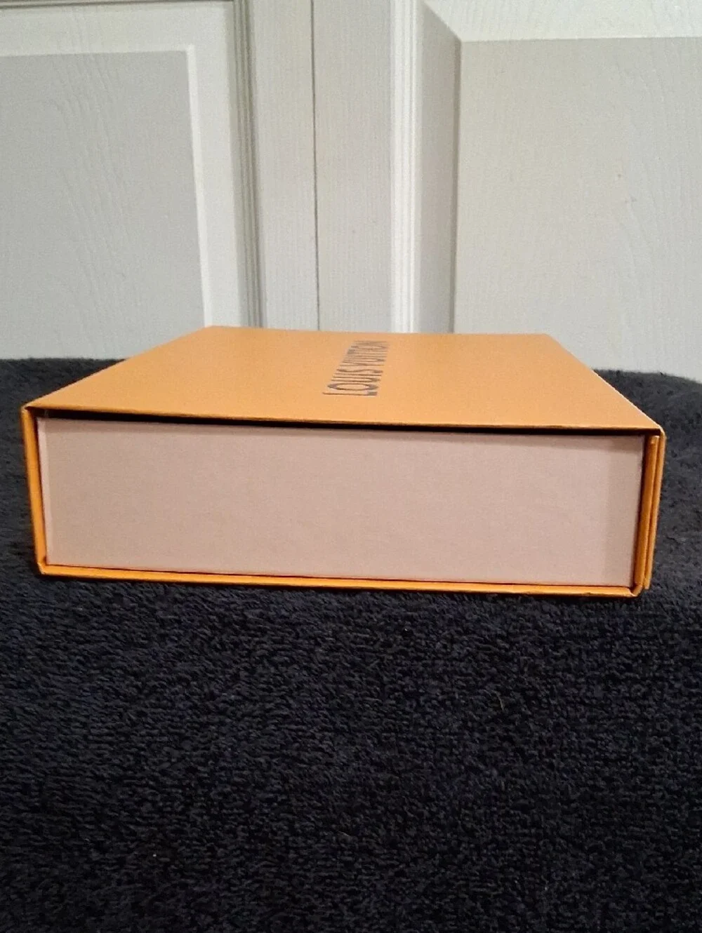 Louis Vuitton authentic louis